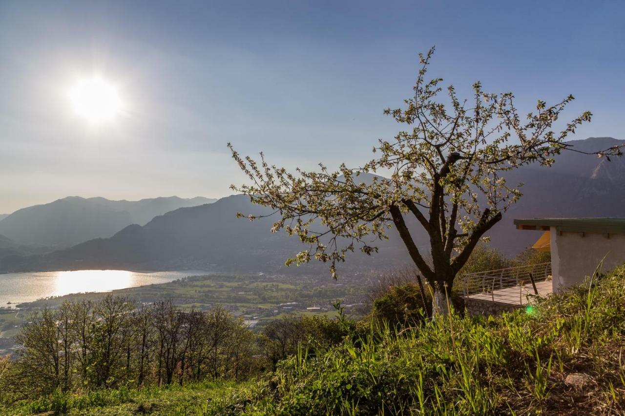 Agriturismo Alveare Sul Lago Пизоние Екстериор снимка