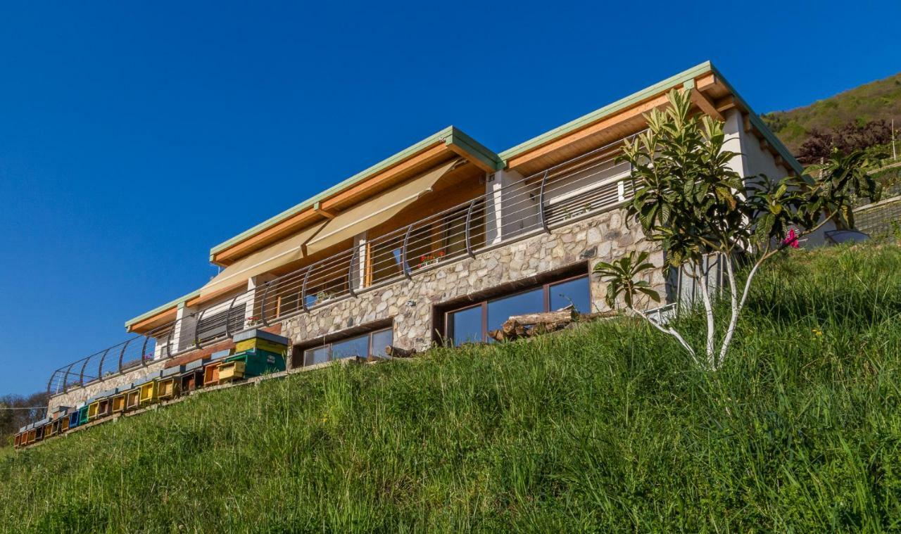 Agriturismo Alveare Sul Lago Пизоние Екстериор снимка
