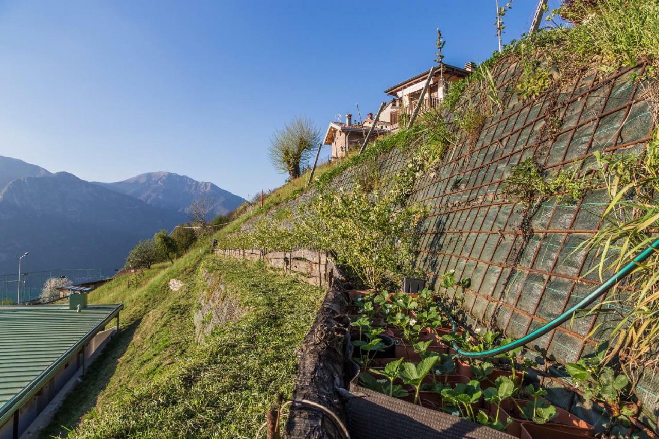 Agriturismo Alveare Sul Lago Пизоние Екстериор снимка