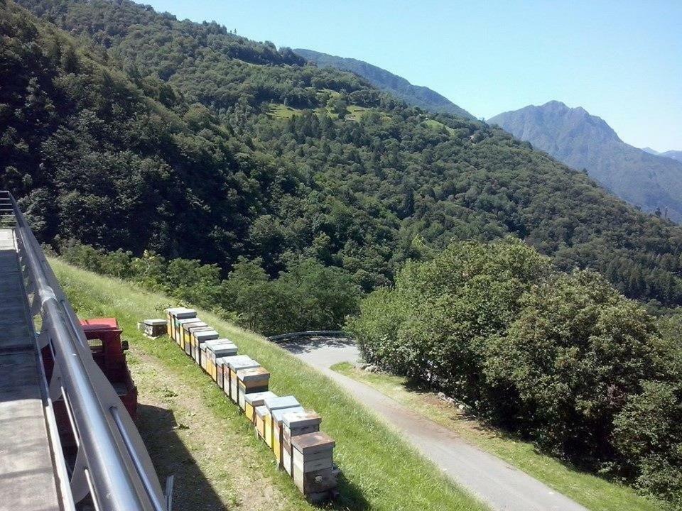Agriturismo Alveare Sul Lago Пизоние Екстериор снимка